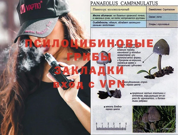 таблы Абинск