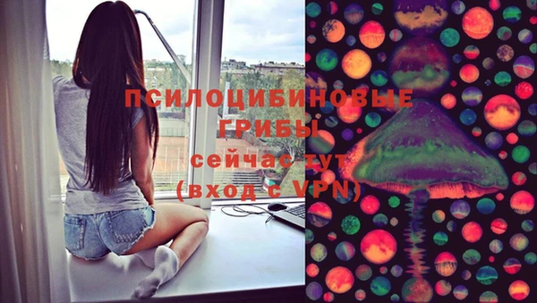 ешки Алексеевка