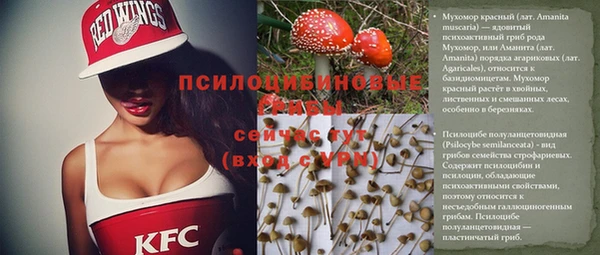 ешки Алексеевка