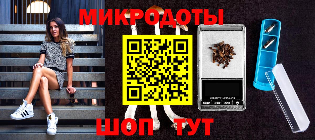 Назрань  продажа наркотиков  Вход с VPN  Псилоцибиновые грибы Cubensis  Галлюциногенные грибы Cubensis 