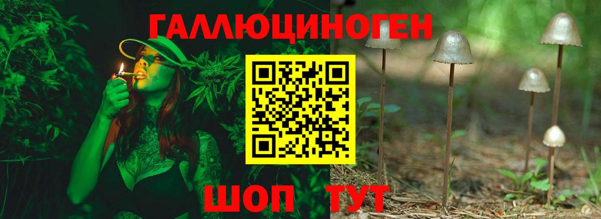 Галлюциногенные грибы мицелий Назрань