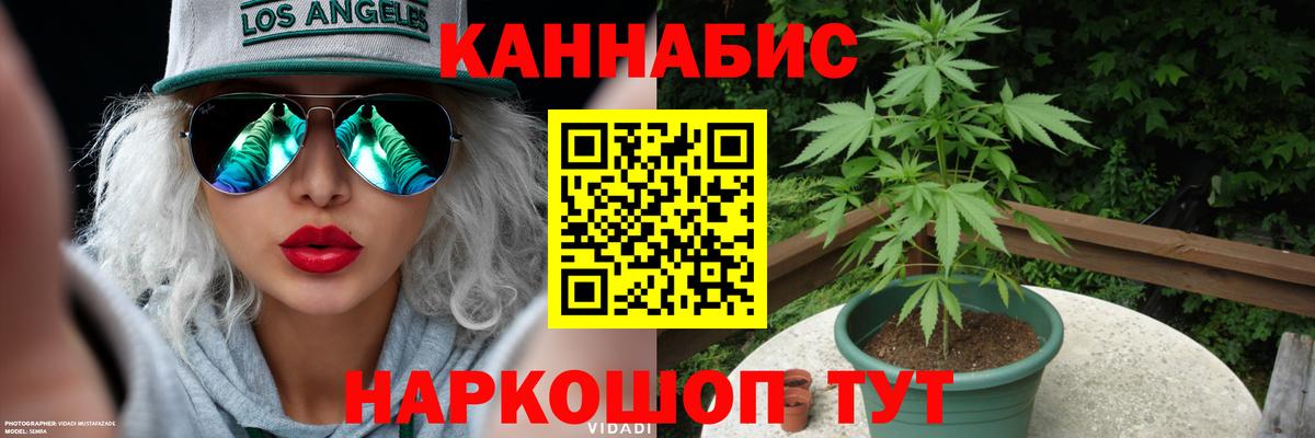 Конопля VHQ  Вход с VPN  Конопля VHQ  Бошки марихуана SATIVA & INDICA  Назрань 